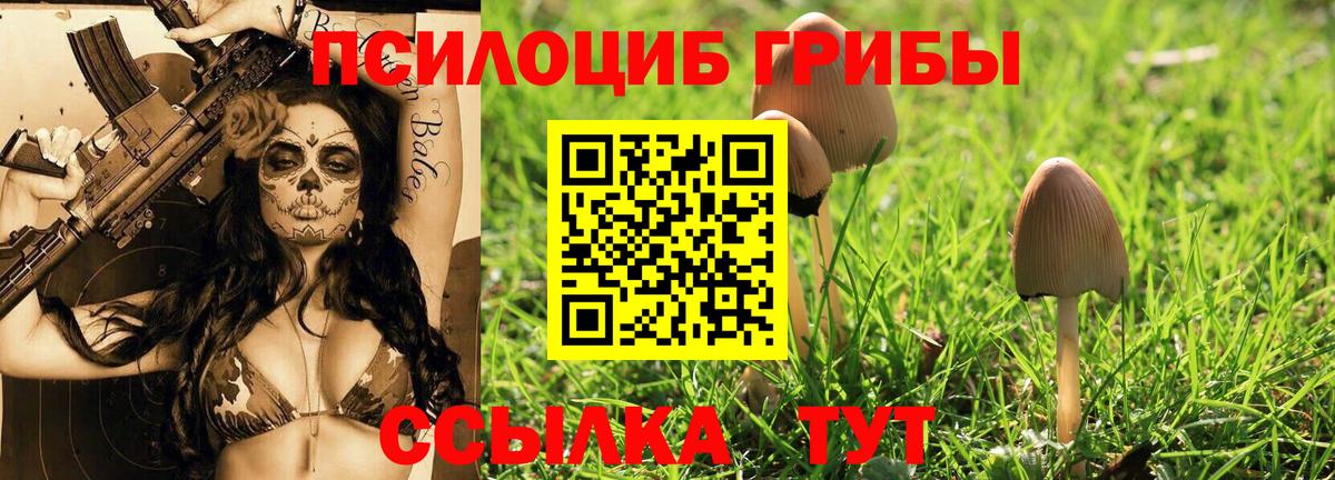 Псилоцибиновые грибы Magic Shrooms  Псилоцибиновые грибы MAGIC MUSHROOMS  Воткинск  Вход с VPN 